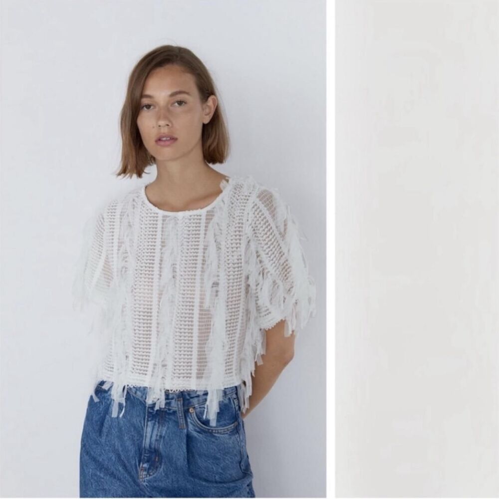 ZARA White Fringe Mesh Knit Crop Top Textured Short Sleeve Size Small